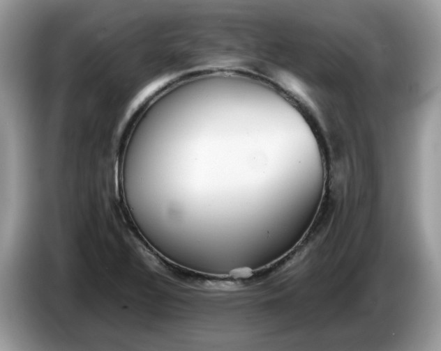 X0000086761320200704271722