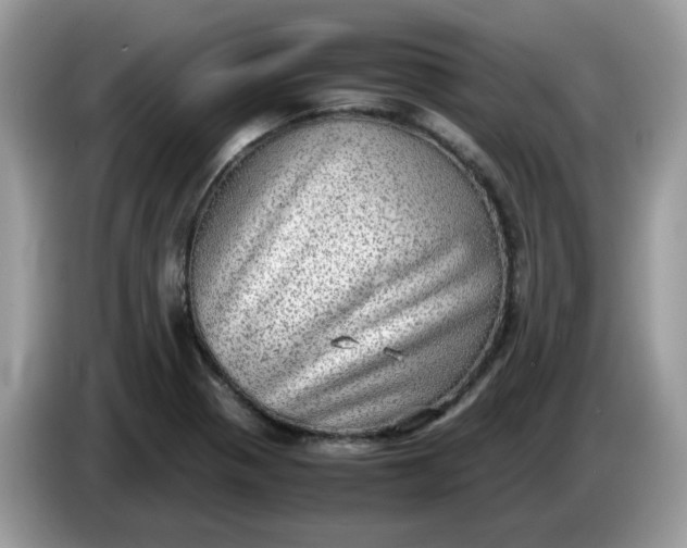 X0000086761321200704271722