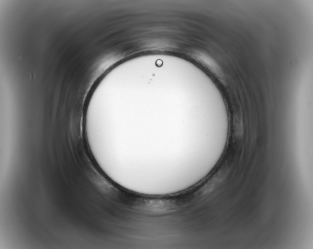 X0000086761322200704271722