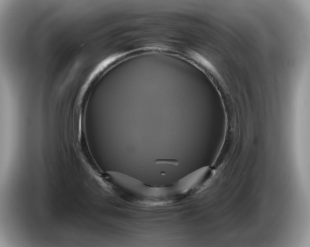 X0000086761323200704271722