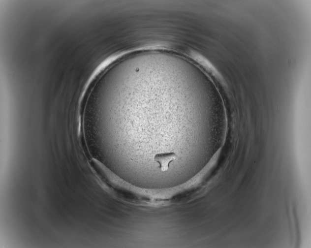 X0000086761324200704271722