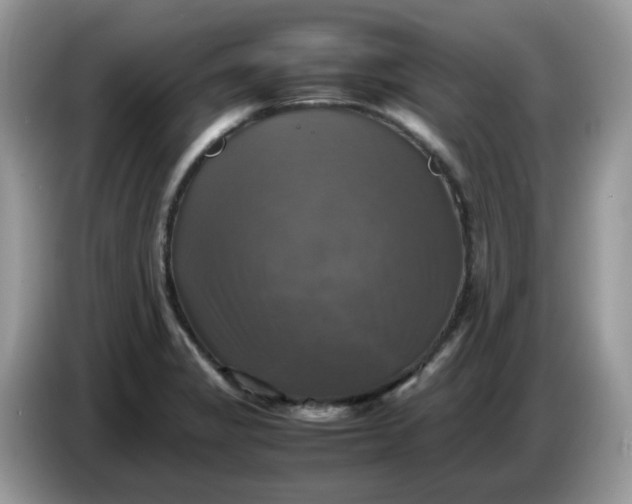 X0000086761325200704271722