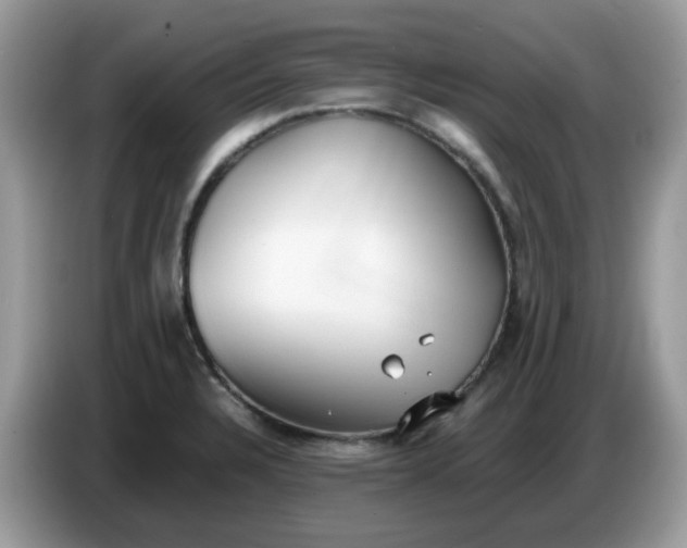 X0000086761328200704271722