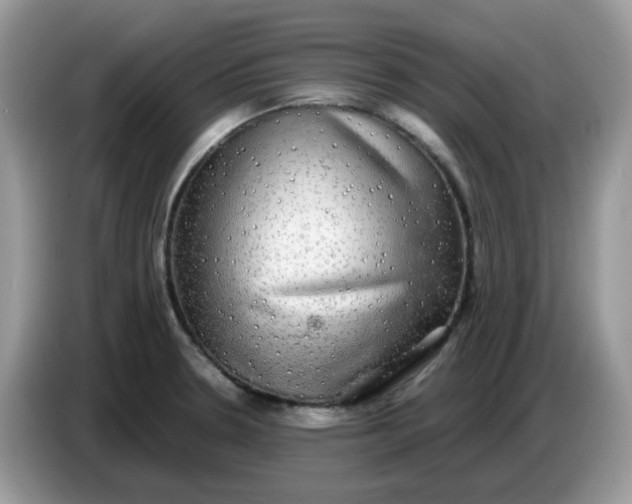 X0000086761330200704271722