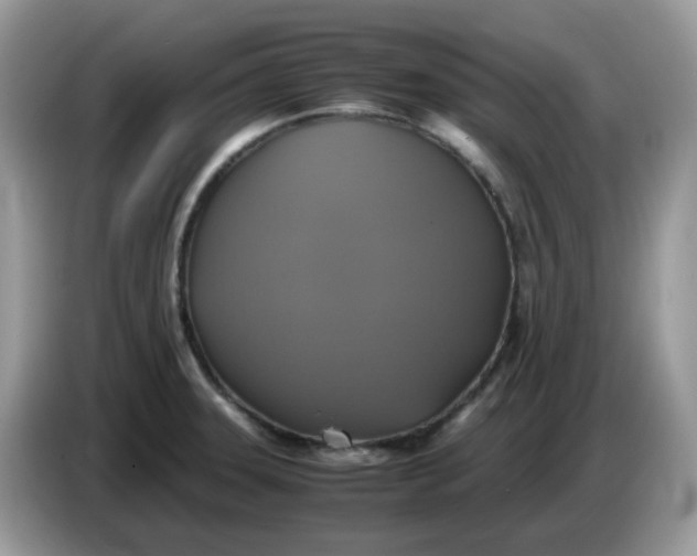 X0000086761331200704271722