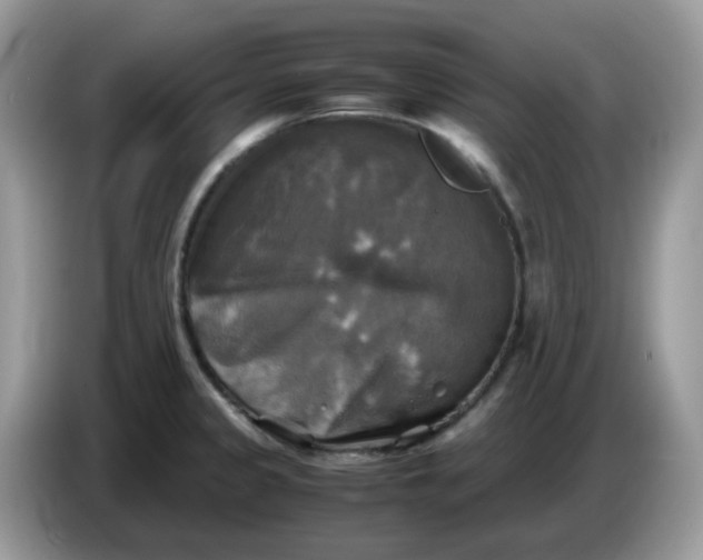 X0000086761333200704271722