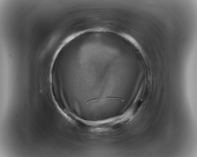 X0000086761335200704271722