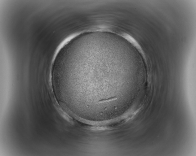 X0000086761336200704271722