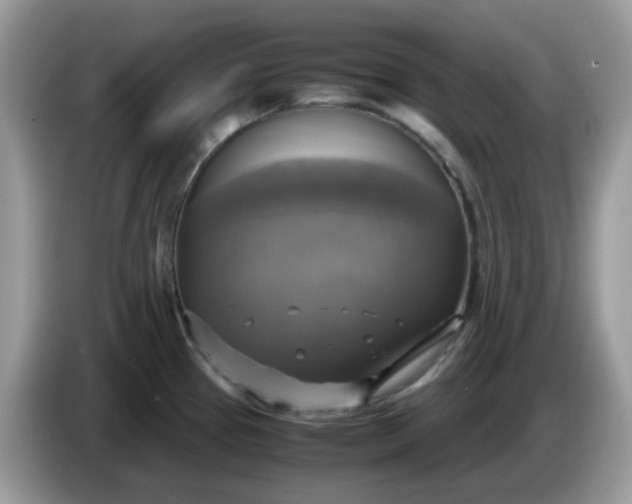 X0000086761337200704271722