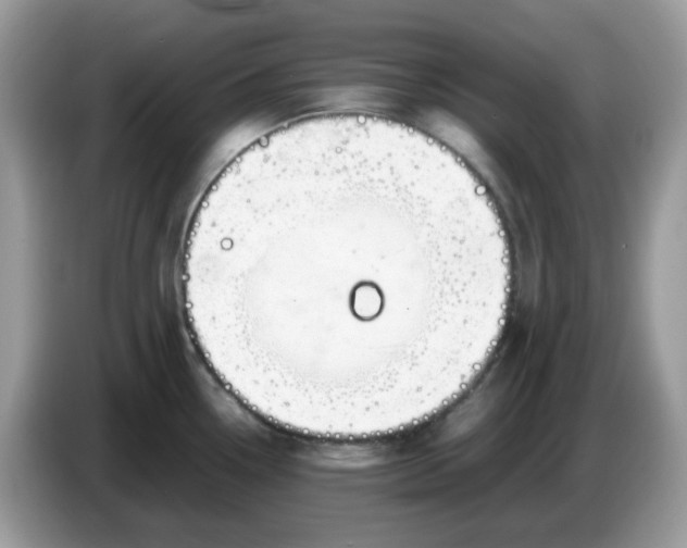 X0000086761338200704271722