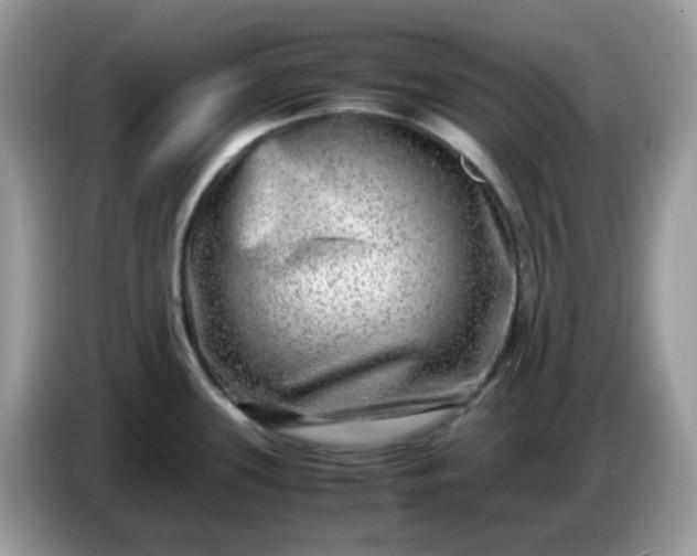 X0000086761339200704271722