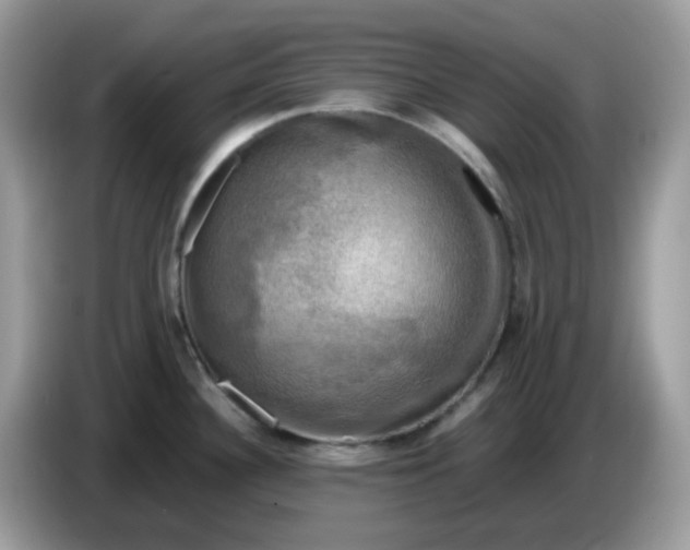 X0000086761340200704271722