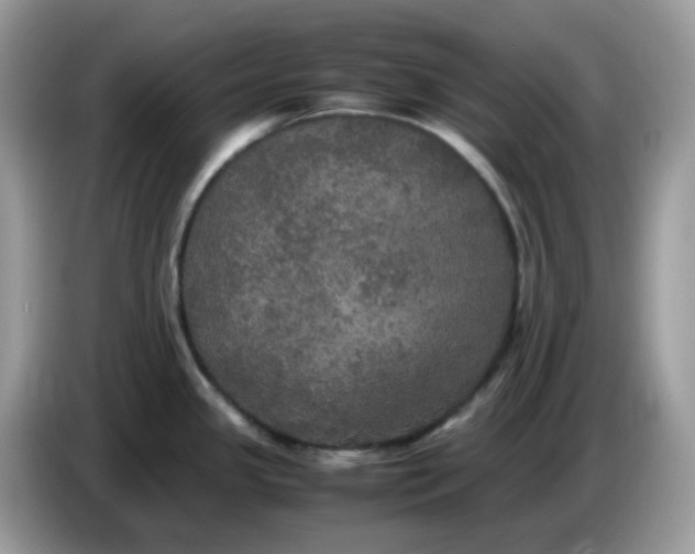 X0000086761341200704271723