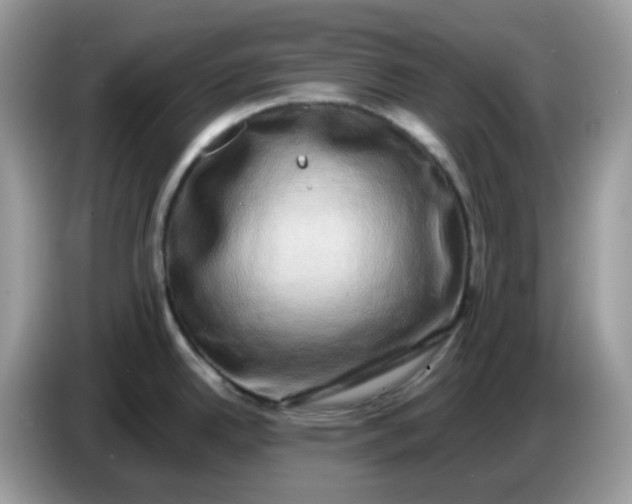 X0000086761342200704271723