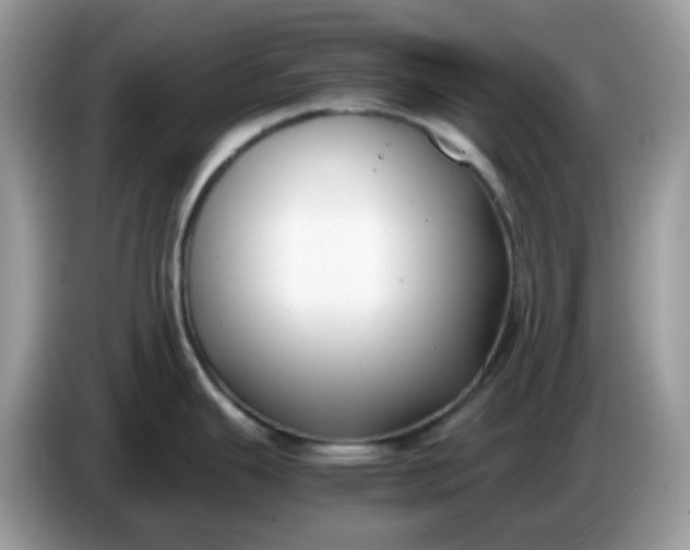 X0000086761343200704271723