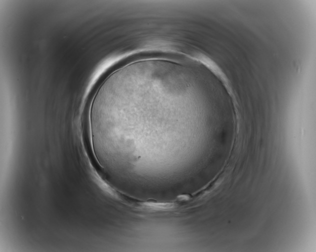 X0000086761344200704271723