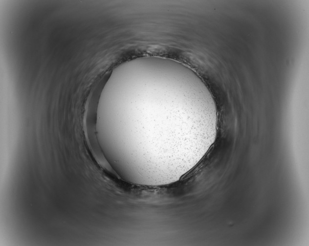 X0000086761345200704271722