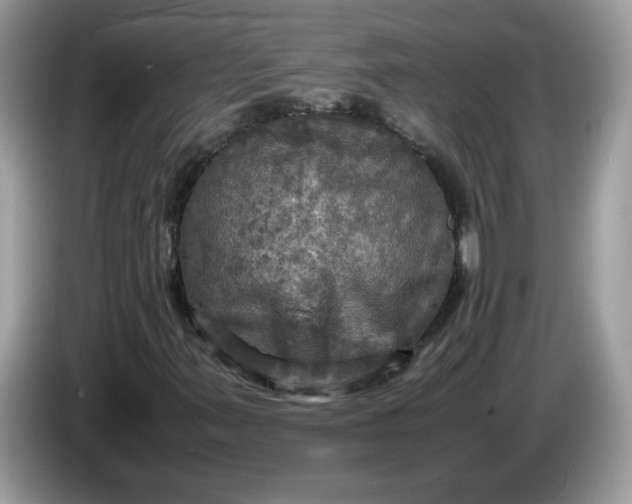 X0000086761347200704271722