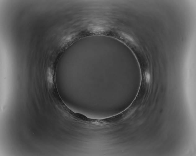 X0000086761348200704271722