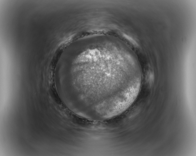 X0000086761350200704271722