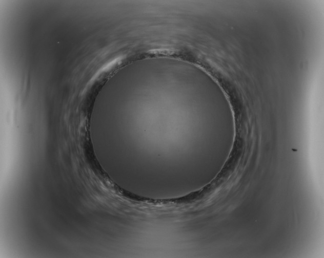 X0000086761351200704271722