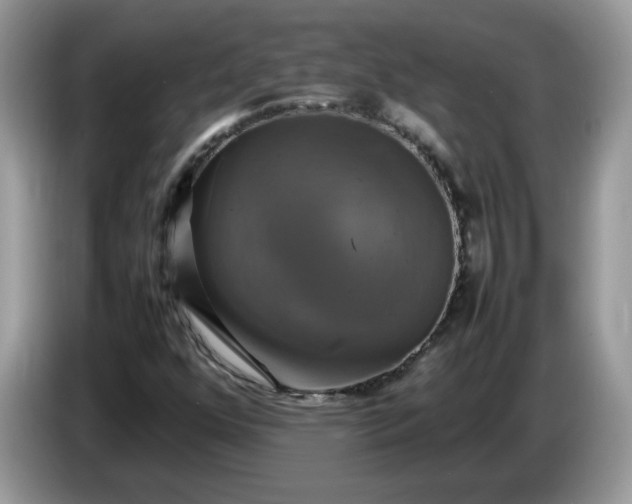 X0000086761352200704271722