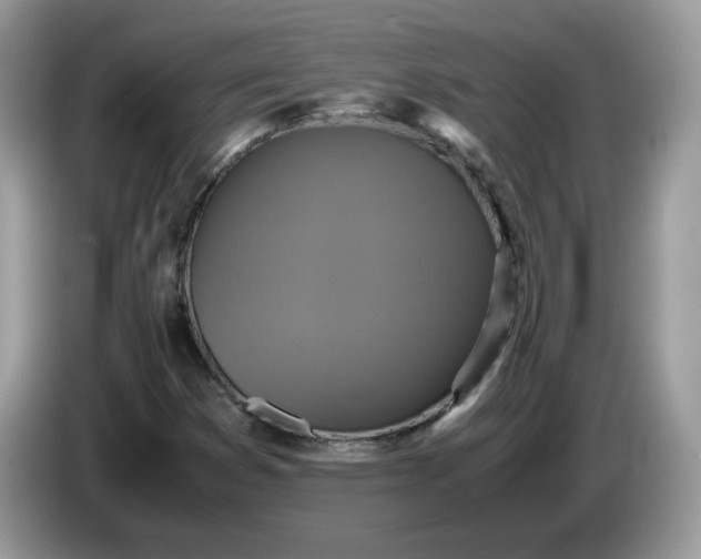 X0000086761353200704271722