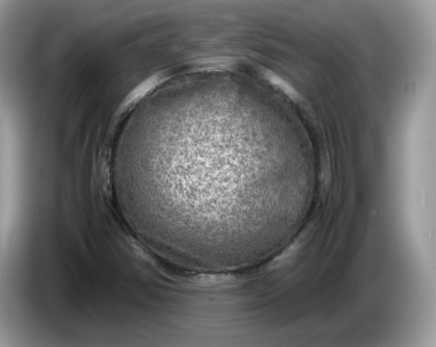 X0000086761354200704271722