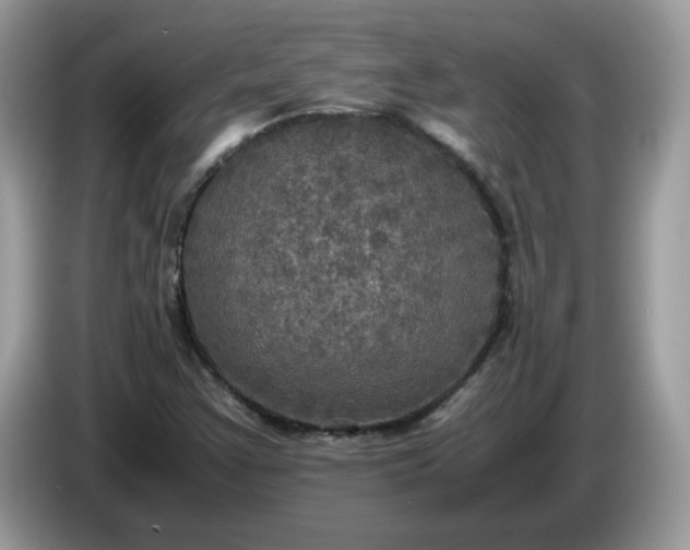 X0000086761355200704271722