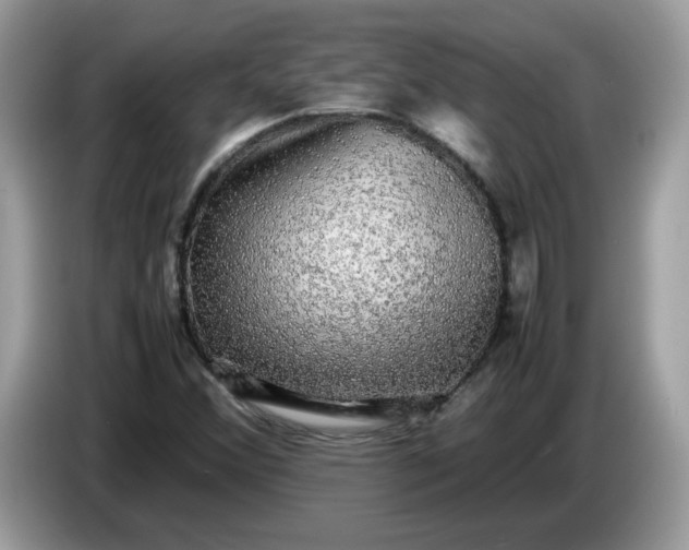 X0000086761356200704271722