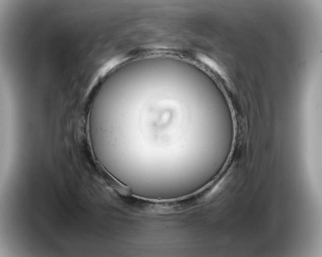 X0000086761357200704271722