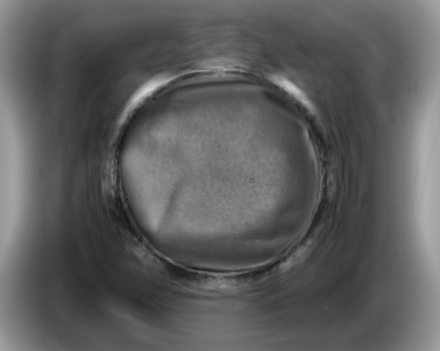 X0000086761358200704271722