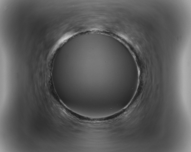 X0000086761359200704271722