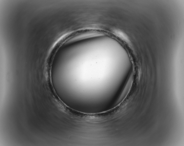 X0000086761360200704271722