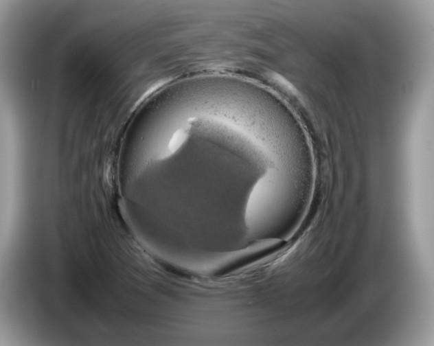 X0000086761361200704271722