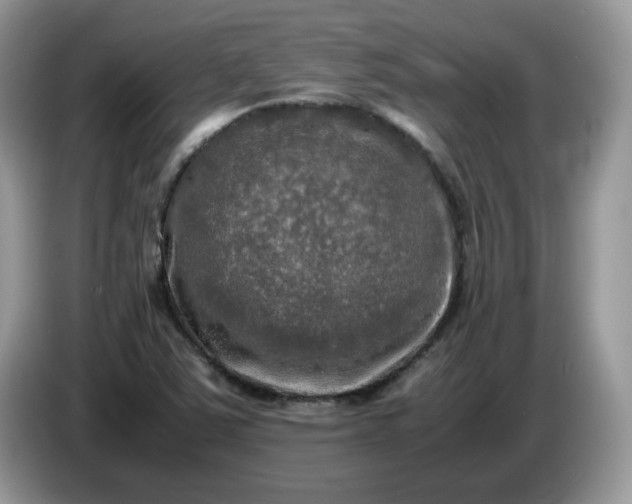 X0000086761363200704271722