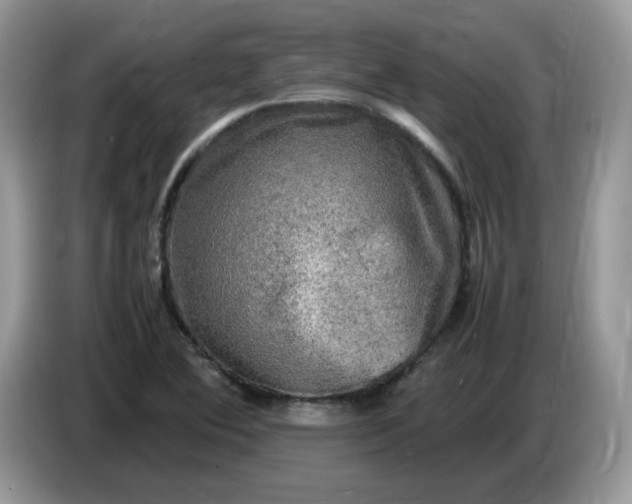 X0000086761364200704271722