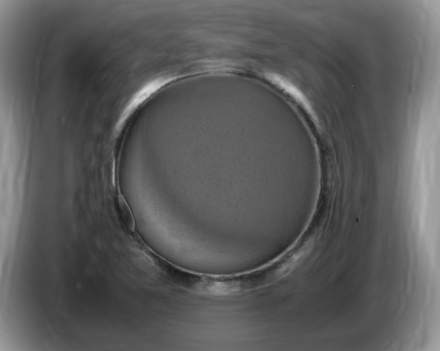 X0000086761365200704271722