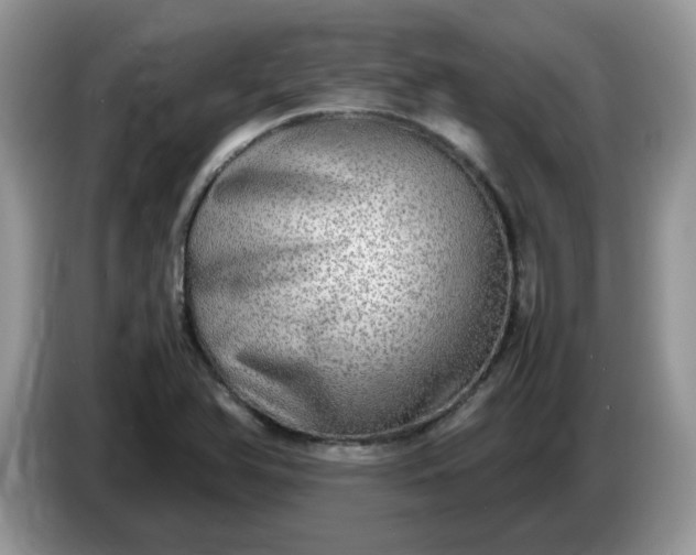 X0000086761366200704271722