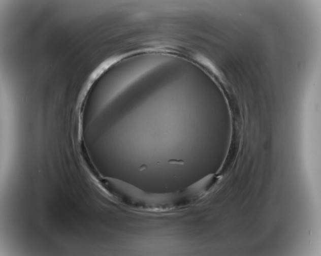 X0000086761371200704271722