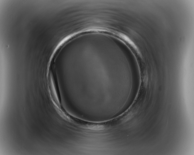 X0000086761372200704271722