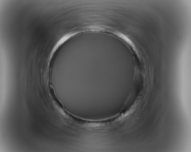 X0000086761373200704271722