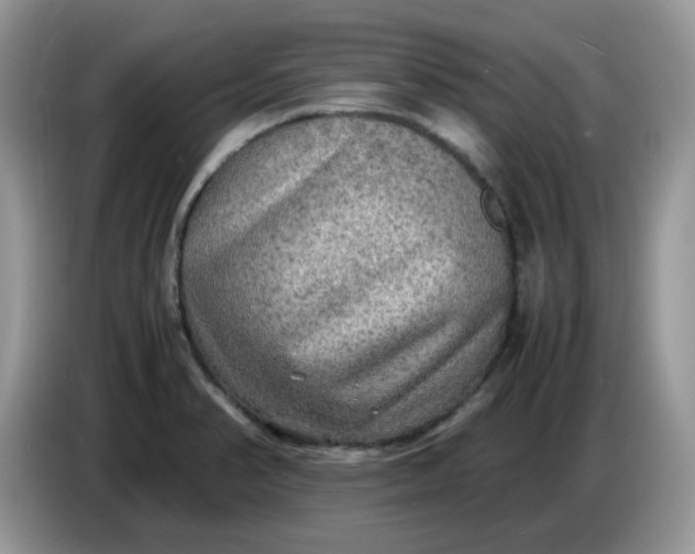 X0000086761374200704271722