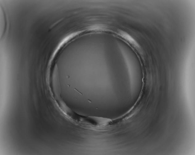 X0000086761376200704271722