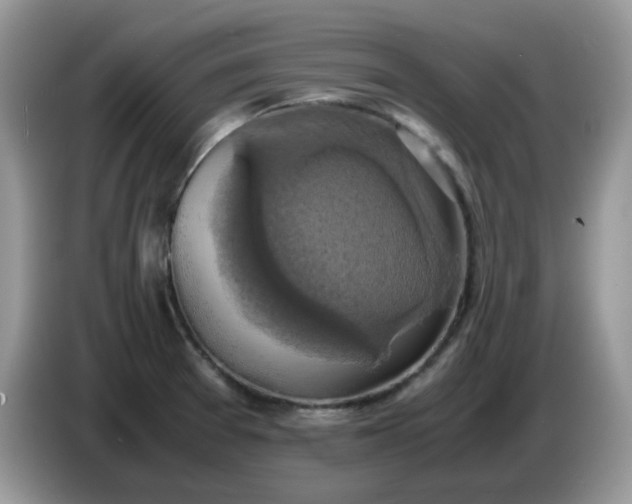 X0000086761377200704271722