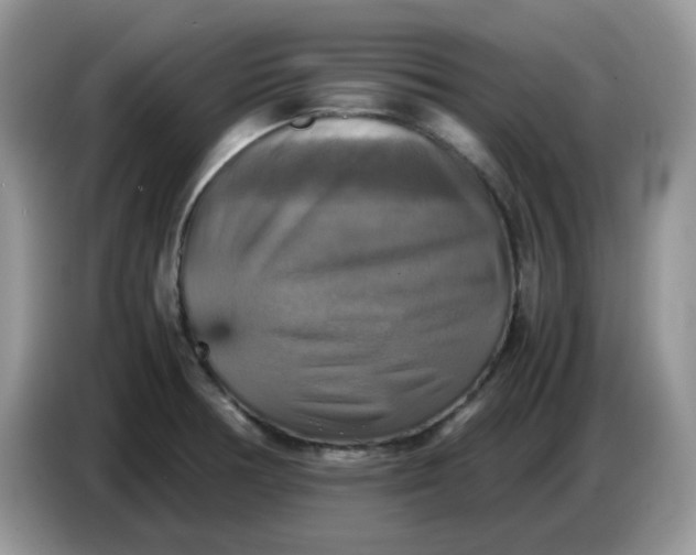 X0000086761378200704271721