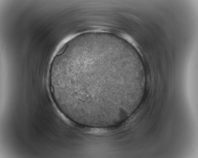 X0000086761379200704271721