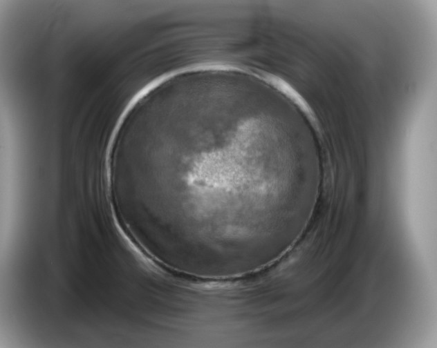 X0000086761380200704271721