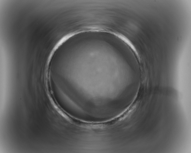 X0000086761381200704271721