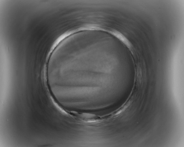 X0000086761382200704271721